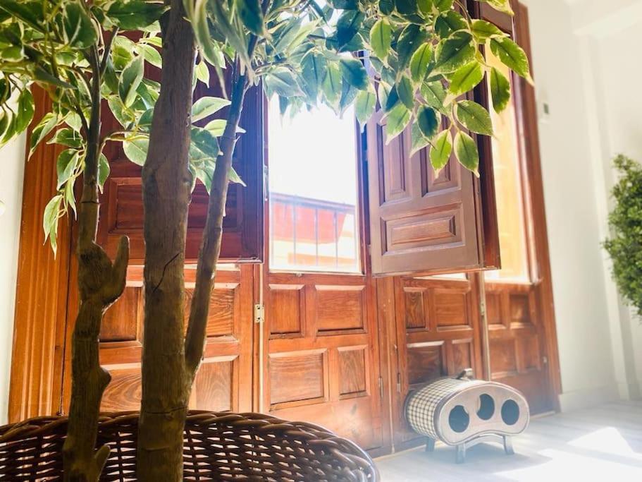 Apartamento Musalla
